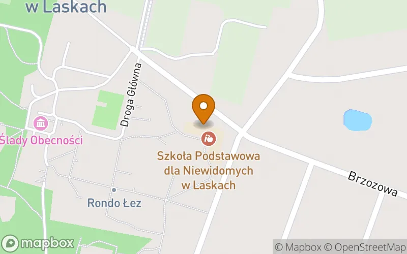 Lokalizacja: Szkoła Policealna przy Ośrodku Szkolno-Wychowawczym dla Dzieci Niewidomych im. Róży Czackiej w Laskach
