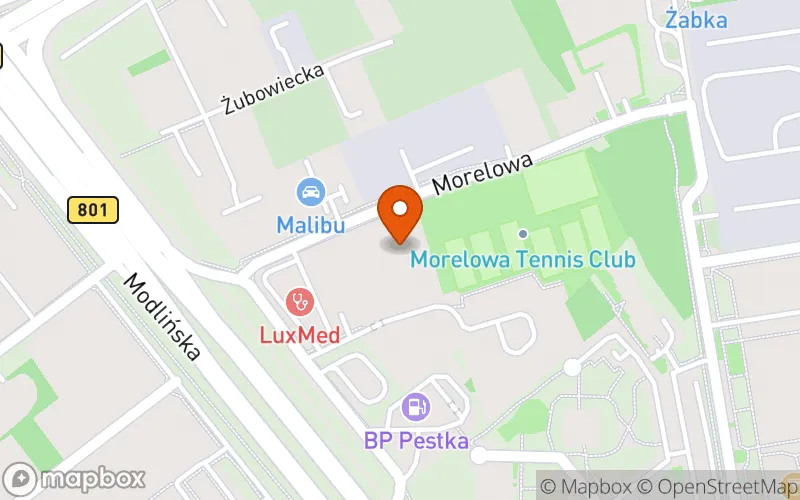 Lokalizacja: Niepubliczny Żłobek Morelove
