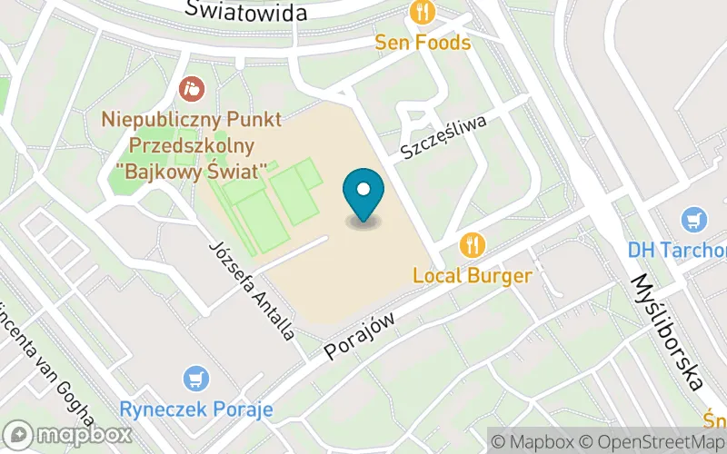 Lokalizacja: Szkoła Podstawowa nr 314 im. Przyjaciół Ziemi