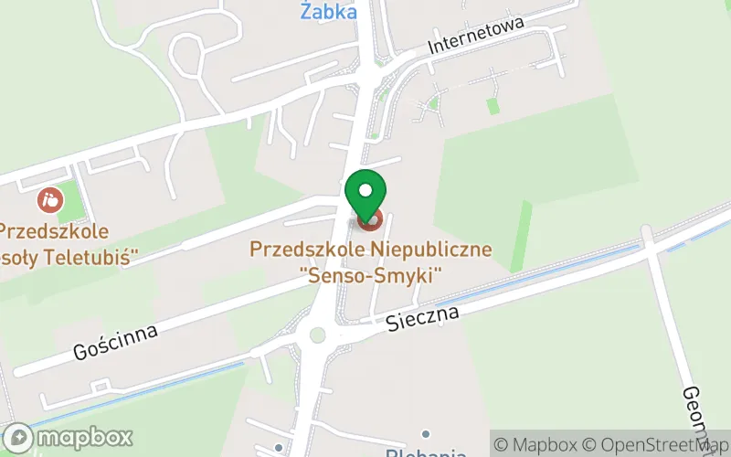 Lokalizacja: Przedszkole Niepubliczne "Senso-Smyki"