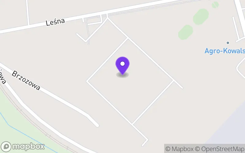Lokalizacja: Branżowa Szkoła Specjalna I Stopnia nr 3 we Wrześni