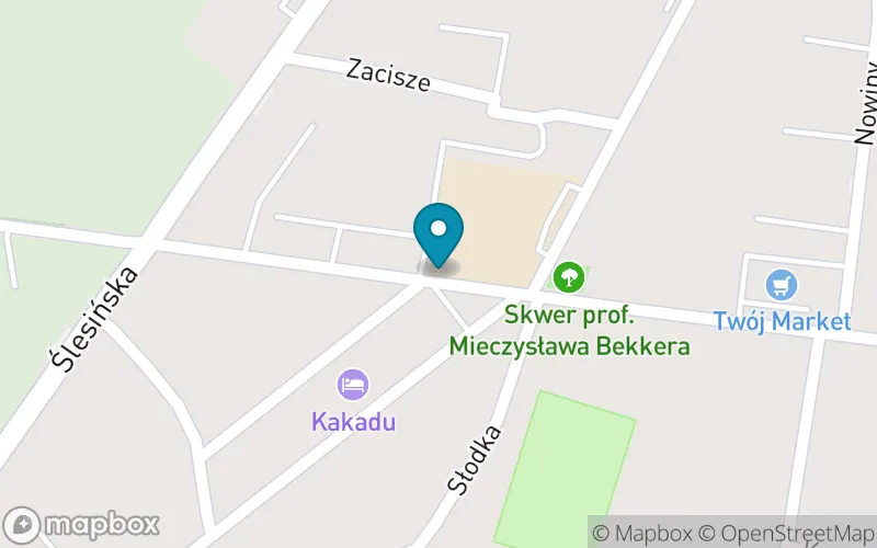 Lokalizacja: Szkoła Podstawowa nr 11 im. Floriana Marciniaka w Koninie