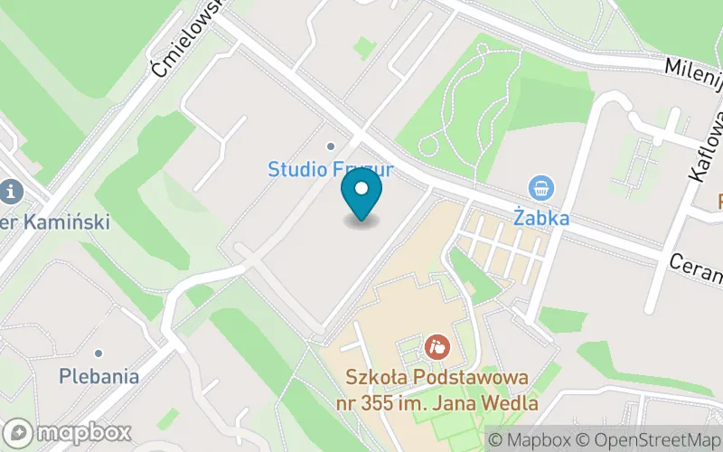 Lokalizacja: Szkoła Podstawowa nr 355 im. Jana Wedla