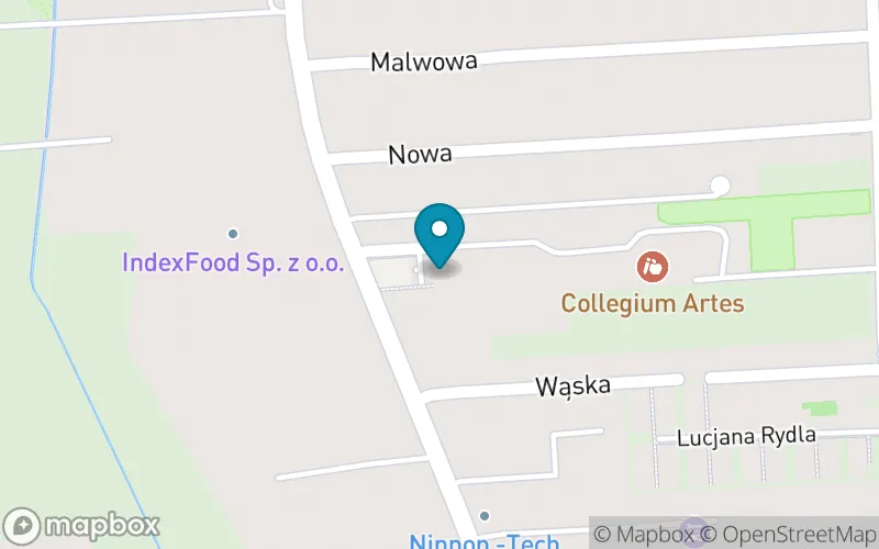 Lokalizacja: Szkoła Podstawowa Collegium Artes