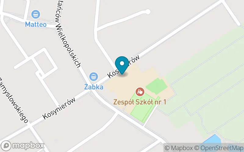 Lokalizacja: Samorządowa Szkoła Podstawowa nr 3 im. Mikołaja Kopernika we Wrześni