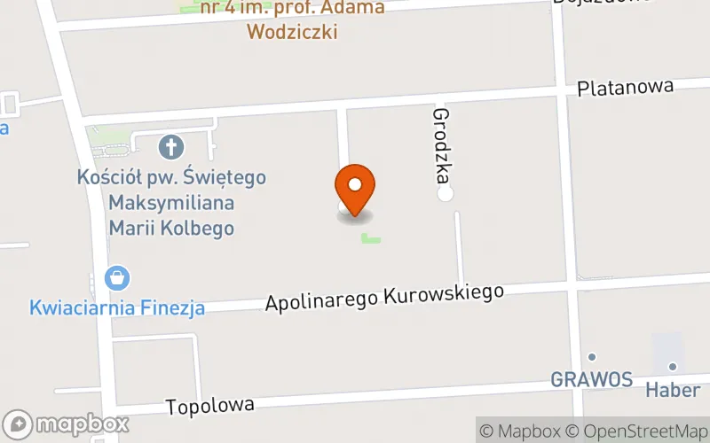Lokalizacja: Prywatny Żłobek "Liliputki"