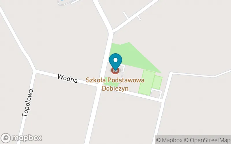 Lokalizacja: Szkoła Podstawowa im. O. Ignacego Cieślaka w Dobieżynie