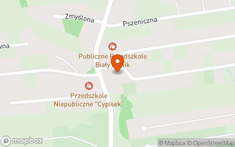 Lokalizacja: Niepubliczny Żłobek "Hula Hop"