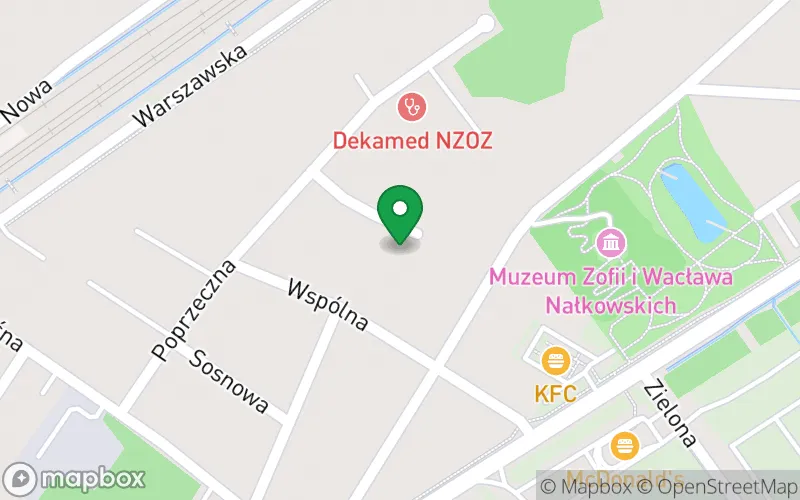 Lokalizacja: Niepubliczny Punkt Przedszkolny "Dom na Górze"