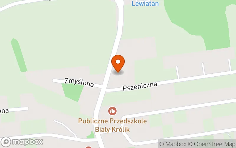 Lokalizacja: Żłobek BIAŁY KRÓLIK