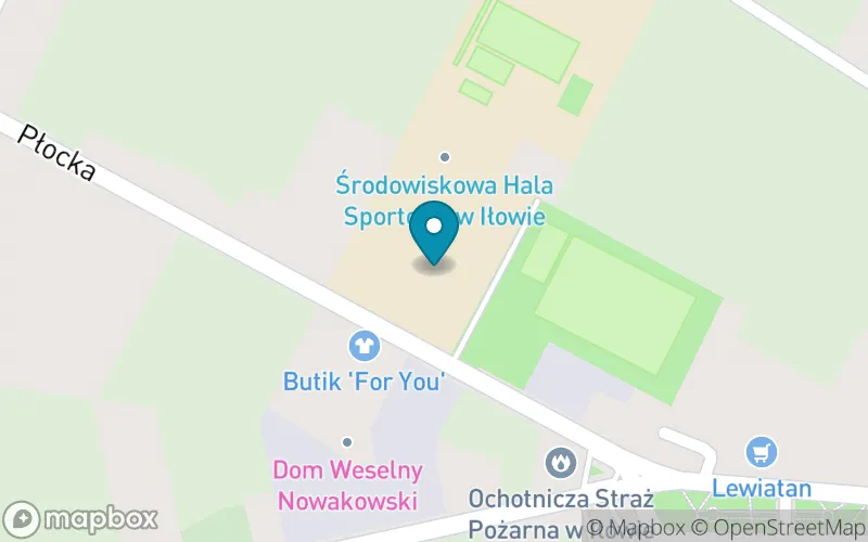 Lokalizacja: Szkoła Podstawowa im. Marszałka Józefa Piłsudskiego w Iłowie