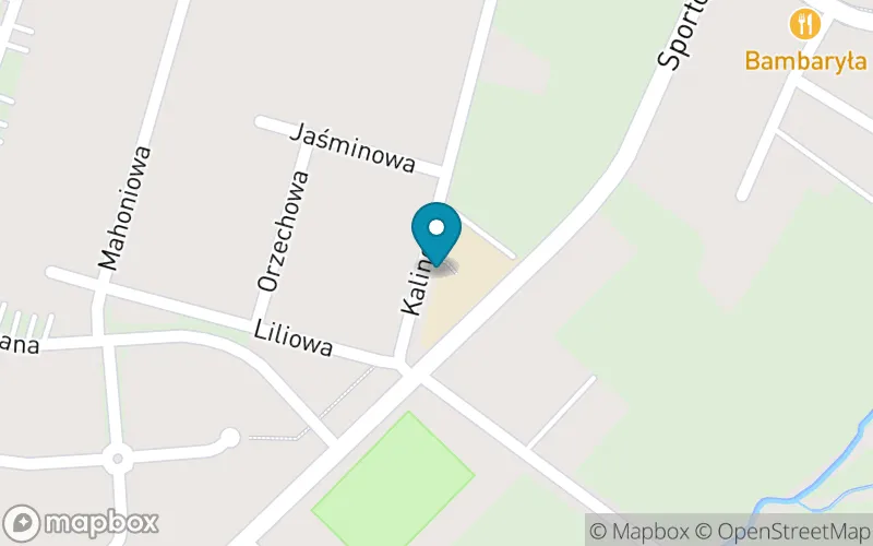 Lokalizacja: Niepubliczna Dwujęzyczna Szkoła Podstawowa Bonum Futurum