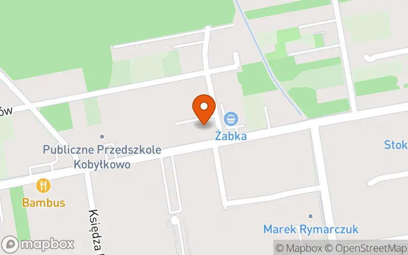 Lokalizacja: Nibylandia opieka prywatna nad dziećmi. Monika Rykiel