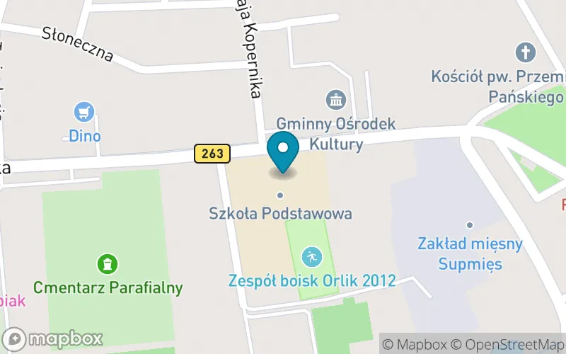 Lokalizacja: Szkoła Podstawowa im. Mikołaja Kopernika w Babiaku