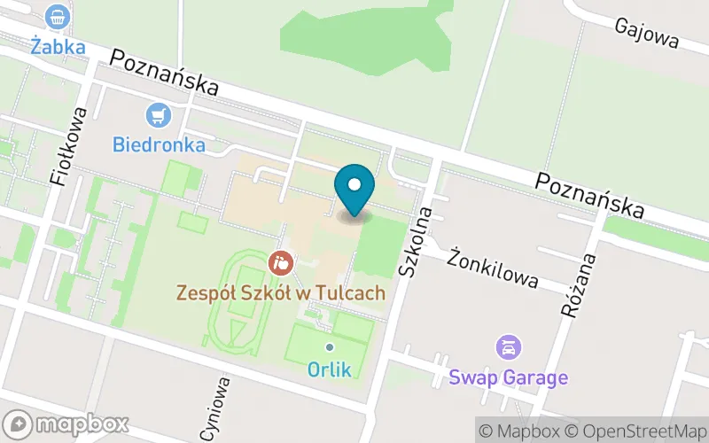 Lokalizacja: Szkoła Podstawowa IM Powstańców Wielkopolskich w Tulcach