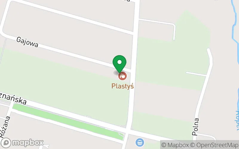 Lokalizacja: Niepubliczne Przedszkole Artystyczno-Plastyczne Plastyś