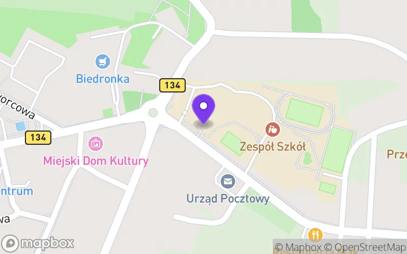 Lokalizacja: Liceum Ogólnokształcące im. Stanisława Staszica w Rzepinie