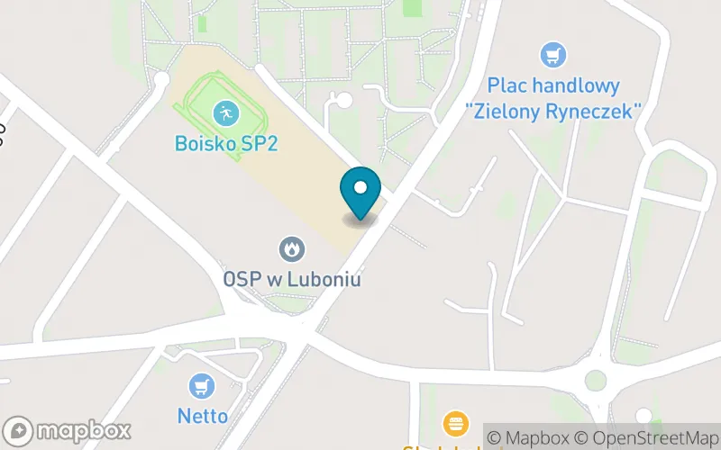 Lokalizacja: Szkoła Podstawowa nr 2 im. Augusta Hr. Cieszkowskiego w Luboniu