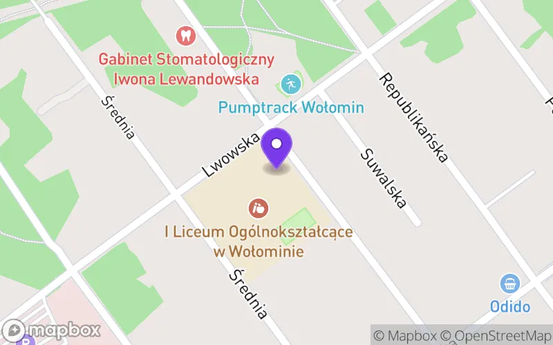 Lokalizacja: I Liceum Ogólnokształcące im. Wacława Nałkowskiego w Wołominie