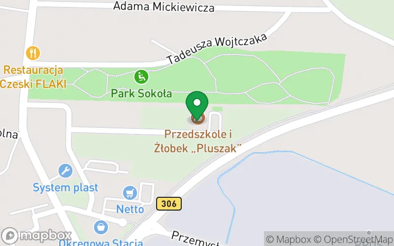 Lokalizacja: Niepubliczne Przedszkole Pluszak