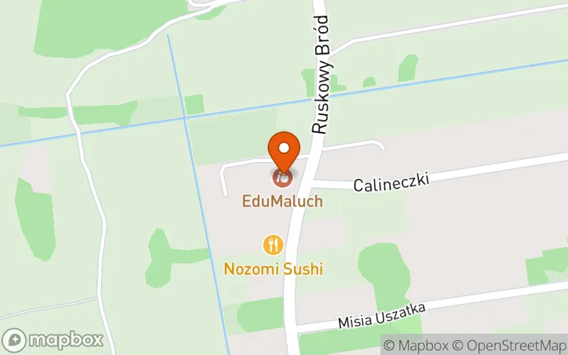 Lokalizacja: Niepubliczny Żłobek "EduMaluch"
