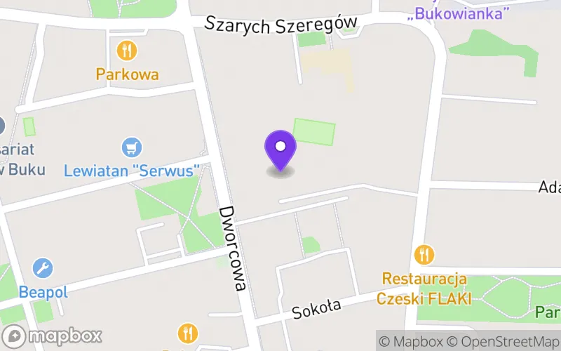 Lokalizacja: Branżowa Szkoła I Stopnia w Buku