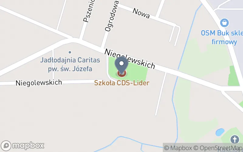 Lokalizacja: Placówka Kształcenia Ustawicznego CDS-Lider