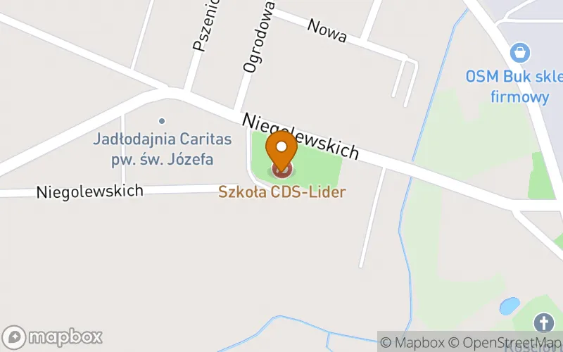 Lokalizacja: Szkoła Policealna "Lider" w Buku
