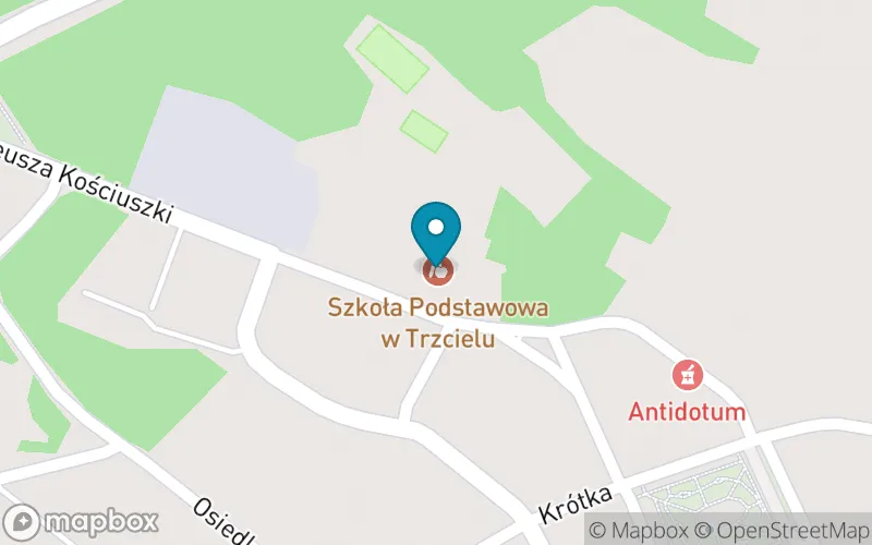 Lokalizacja: Zespół Edukacyny w Trzcielu Szkoła Podstawowa im. Mjr. H. Dobrzańskiego "Hubala"
