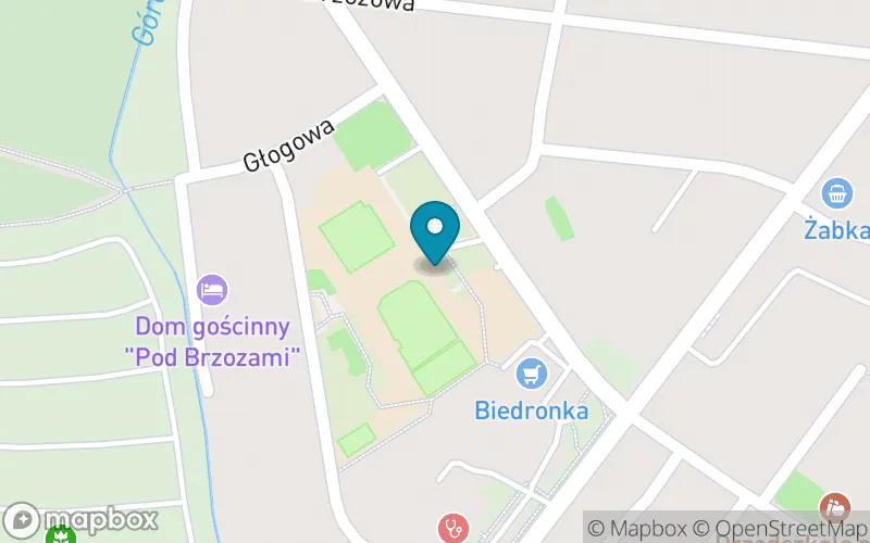 Lokalizacja: Szkoła Podstawowa nr 79