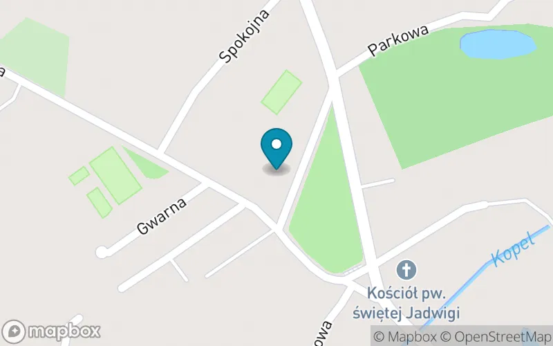 Lokalizacja: Szkoła Podstawowa im. Pauliny i Augusta Wilkońskich w Siekierkach Wielkich