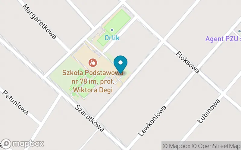 Lokalizacja: Szkoła Podstawowa nr 78 im. Prof. Wiktora Degi w Poznaniu