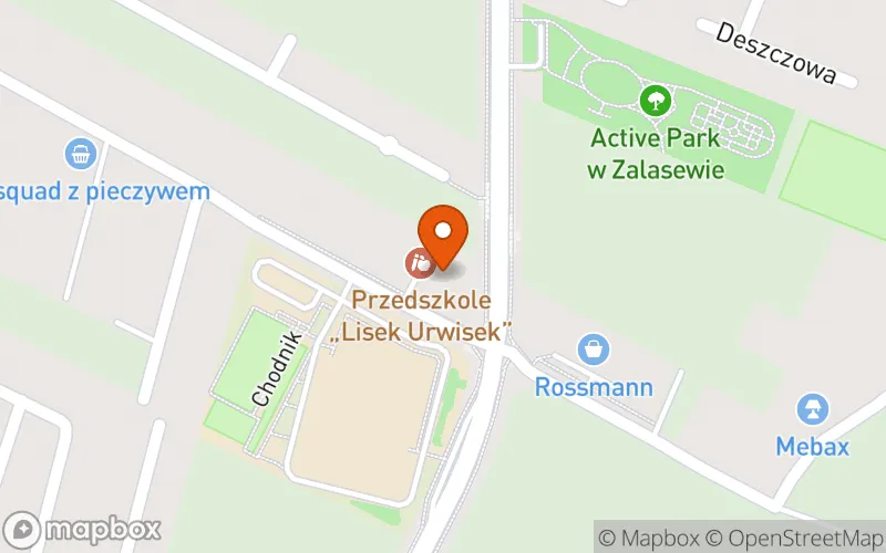 Lokalizacja: Prywatny Żłobek "Lisek Urwisek"