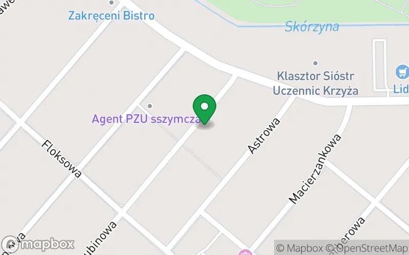Lokalizacja: Przedszkole Zgromadzenia Sióstr Imienia Jezus
