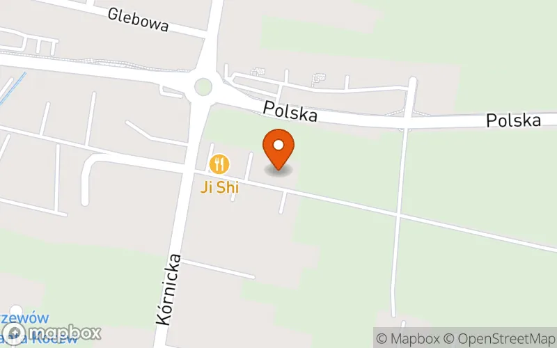 Lokalizacja: Żłobek KOGUT
