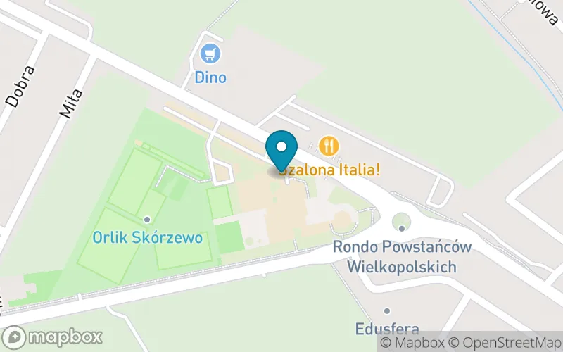 Lokalizacja: Szkoła Podstawowa nr 2 im. Ignacego Jana Paderewskiego w Skórzewie