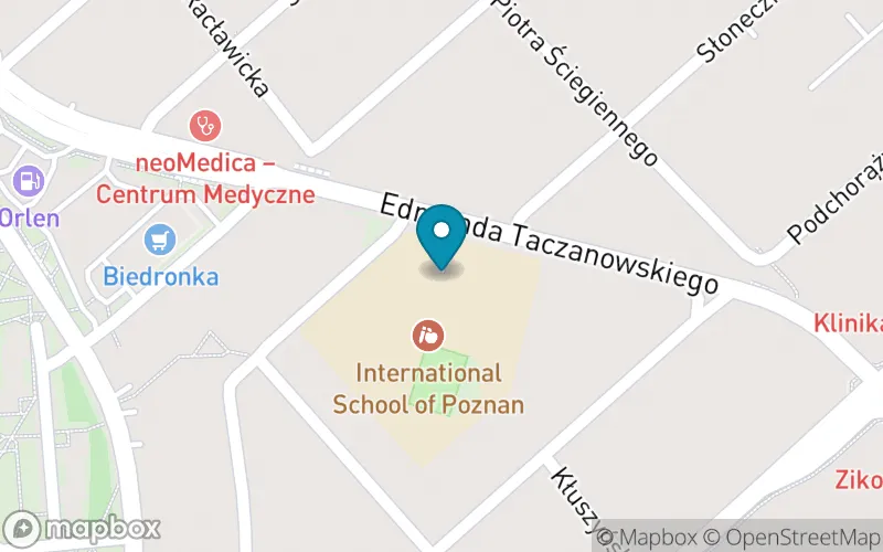 Lokalizacja: Szkoła Podstawowa International School Of Poznan