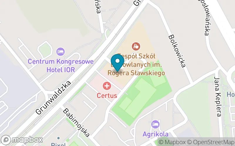 Lokalizacja: Społeczna Szkoła Podstawowa nr 1 im. Św. Urszuli Ledóchowskiej w Poznaniu STO