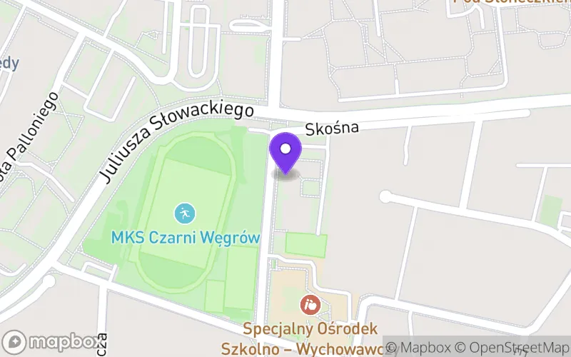 Lokalizacja: Specjalna Branżowa Szkoła I Stopnia nr 2 im. Kornela Makuszyńskiego w Węgrowie