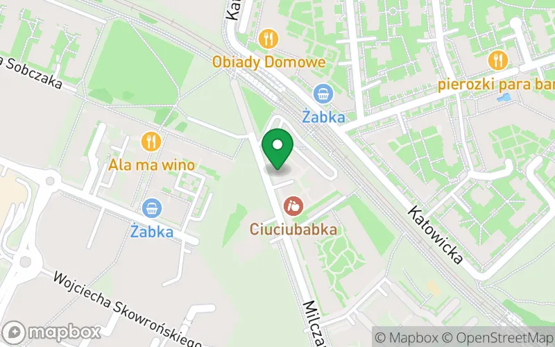Lokalizacja: Niepubliczny Punkt Przedszkolny „Spektrum 1” w Poznaniu
