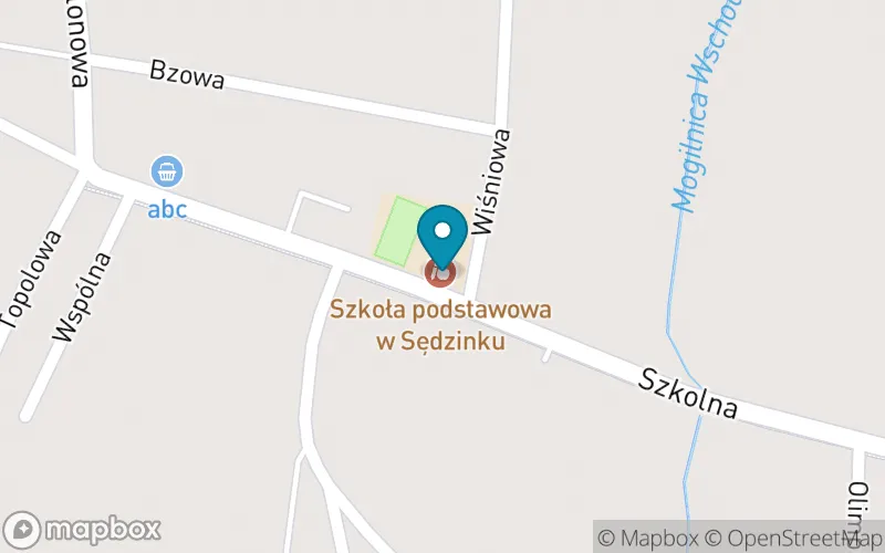 Lokalizacja: Szkoła Podstawowa w Sędzinku
