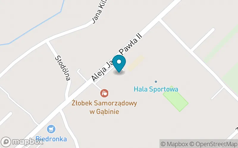 Lokalizacja: Szkoła Podstawowa im. Marii Konopnickiej w Gąbinie