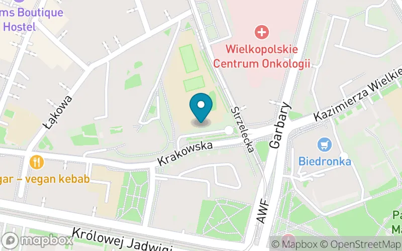Lokalizacja: Szkoła Podstawowa nr 82 im. Księcia Przemysła I