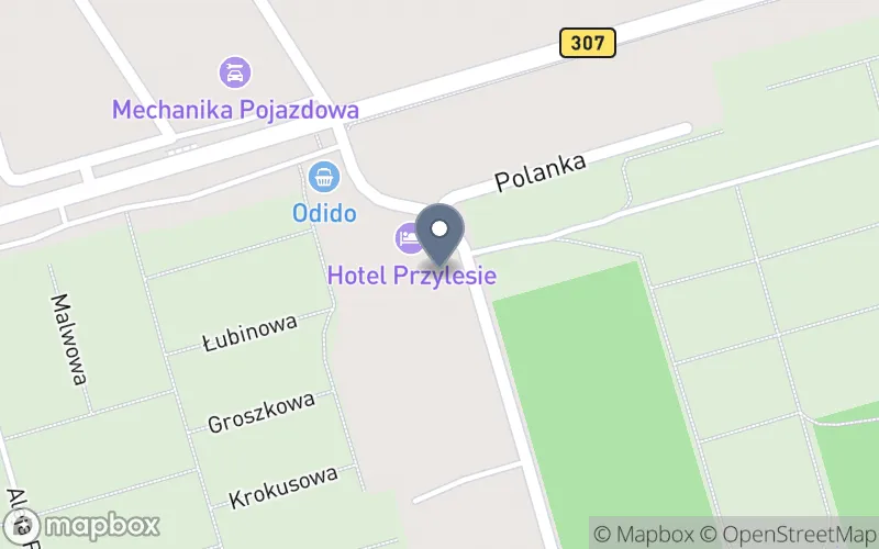 Lokalizacja: Instytut Rakowskiego