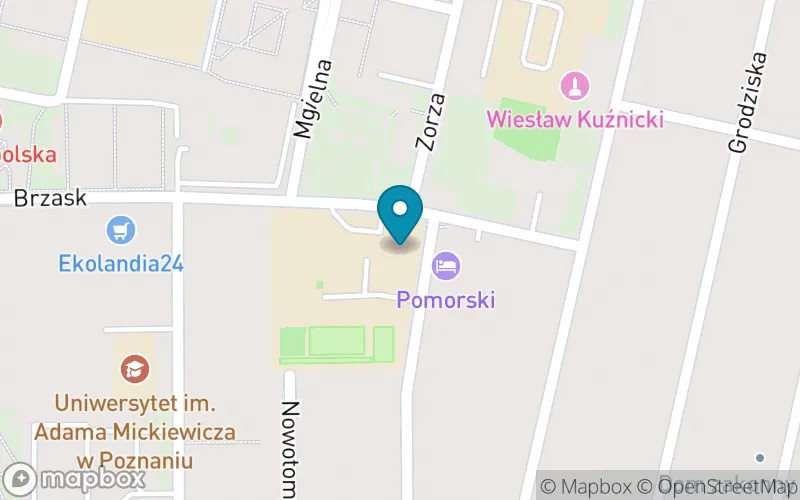 Lokalizacja: Publiczna Szkoła Podstawowa Cogito