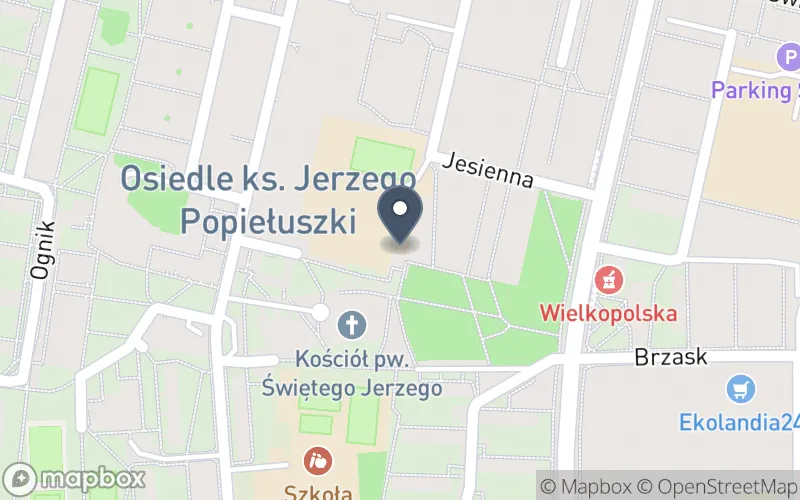 Lokalizacja: Zespół Szkół Specjalnych nr 101 im. Jana Brzechwy