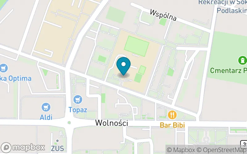 Lokalizacja: Publiczna Szkoła Podstawowa nr 6 im. Pawła Kamińskiego w Sokołowie Podlaskim