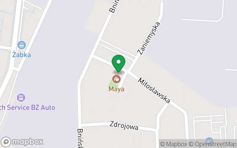 Lokalizacja: Przedszkole Artystyczno-Językowe Królewskie