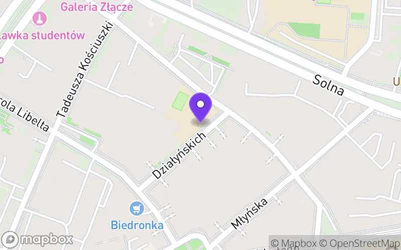 Lokalizacja: Technikum Poligraficzno-Administracyjne