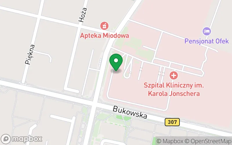 Lokalizacja: Przedszkole Specjalne nr 107 dla Dzieci Przewlekle Chorych przy Szpitalu Klinicznym im. Karola Jonschera Uniwersytetu Medycznego w Poznaniu
